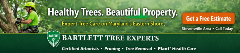 Bartlett Tree Experts